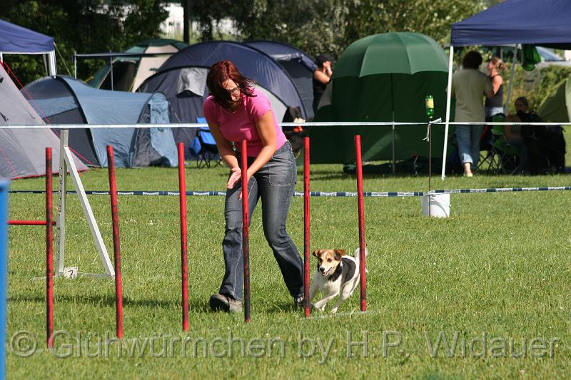 gluehwuermchen08 094 (77).jpg